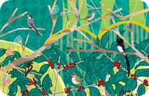 渡り鳥が冬を越す森のコーヒー